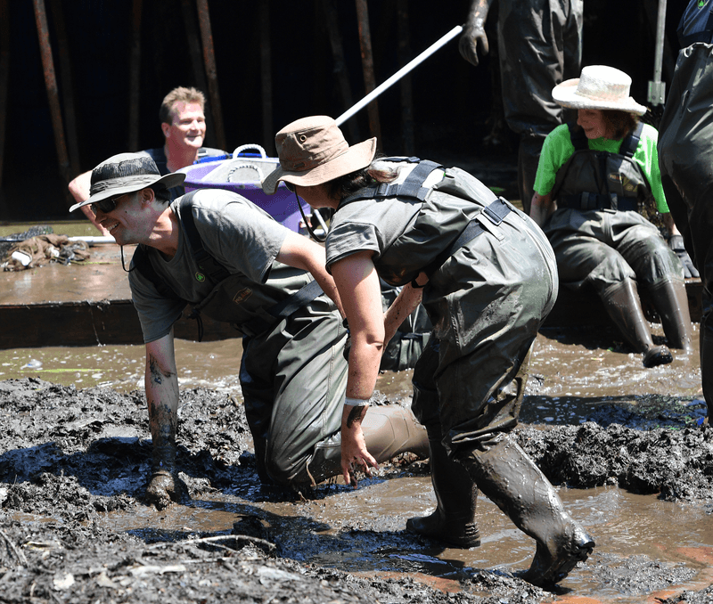 pond-muck